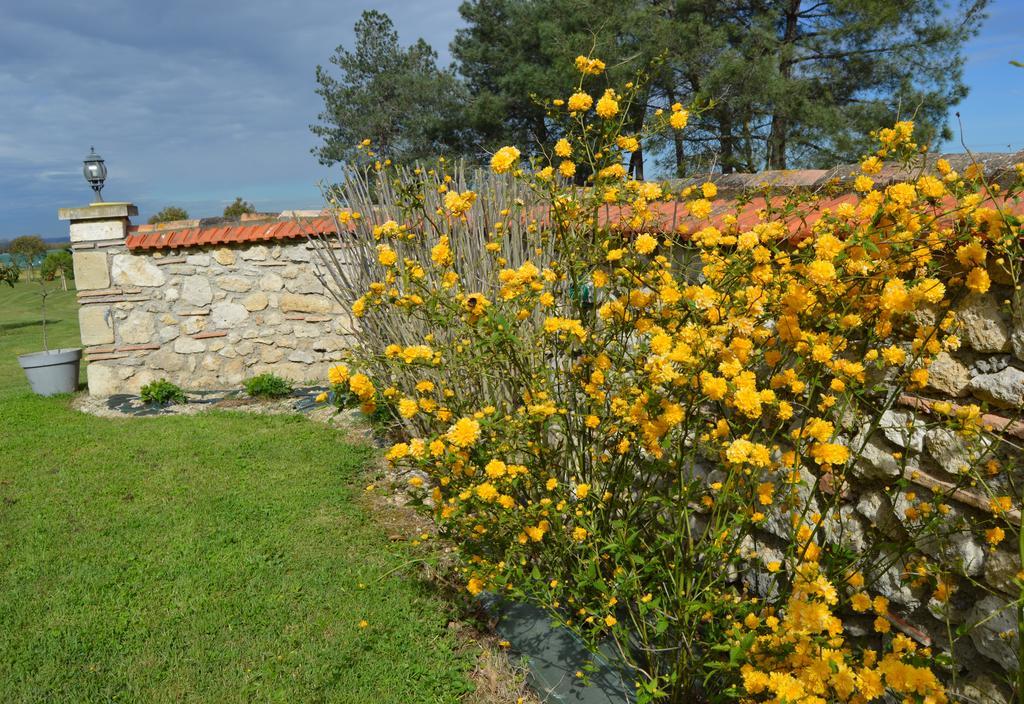 Le Coteau De Bazeille Sauna&Detente Sas Sainte-Bazeille Exterior foto